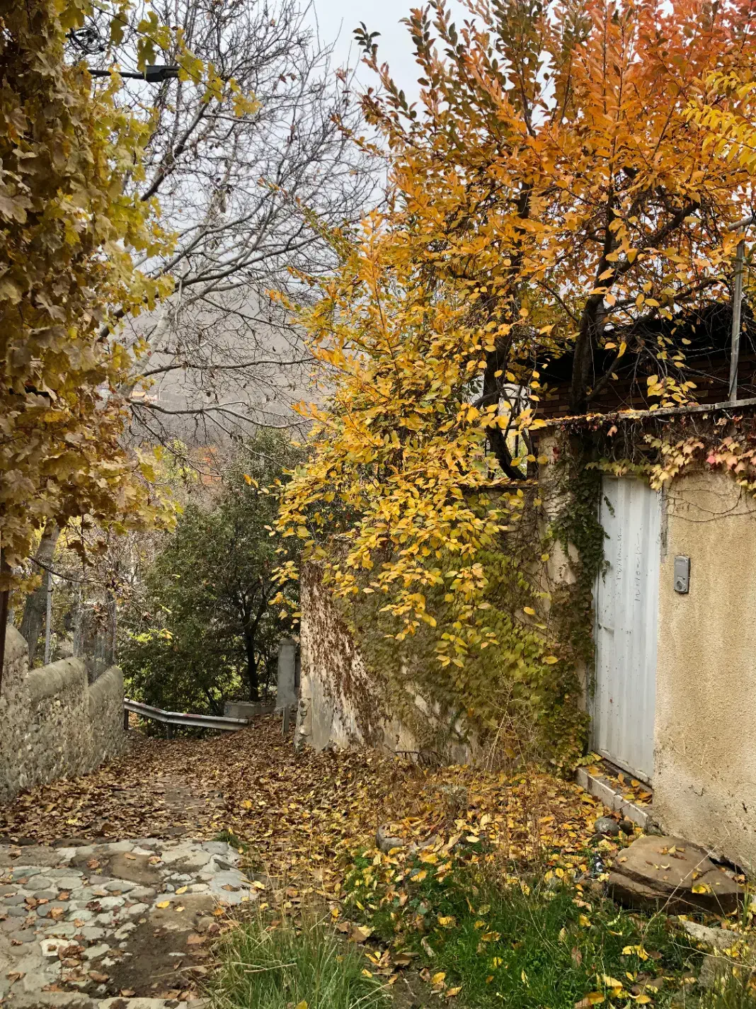 ارنگه-750متر باغچه|فروش زمین و ملک کلنگی|آسارا, |دیوار