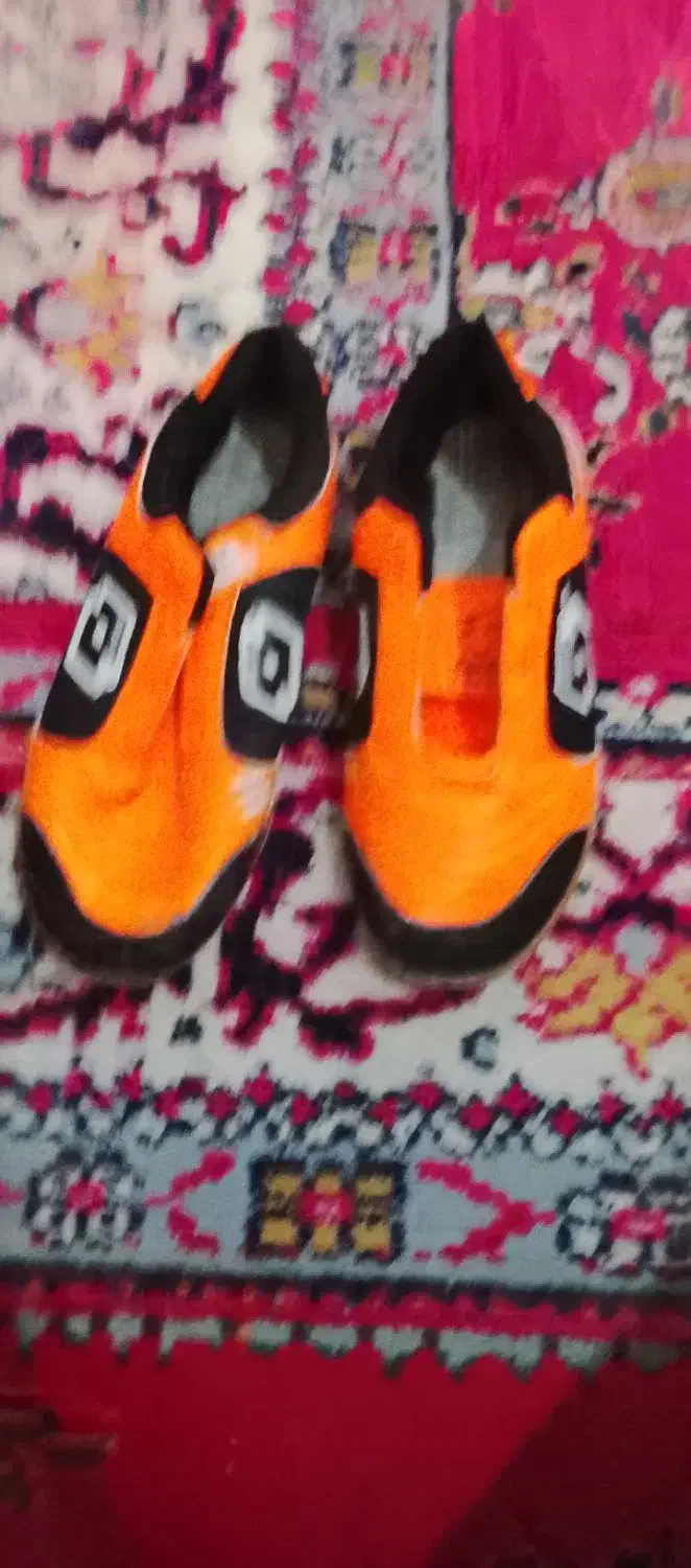 کفش فوتبالی|کیف، کفش، کمربند|تربت‌حیدریه, باغ سلطانی|دیوار