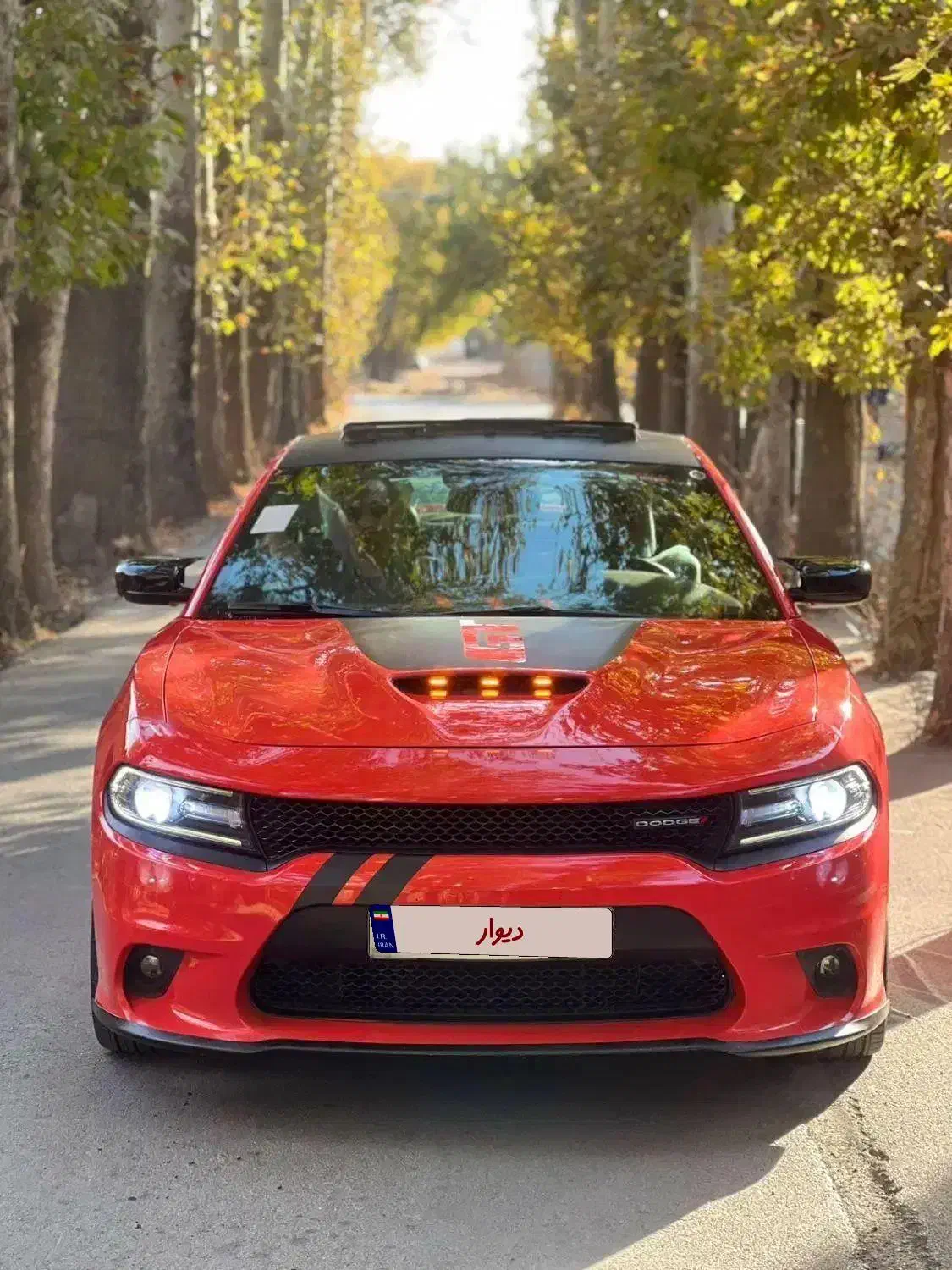 اجاره ماشین دوج برای عروسی|خودرو اجارهای|شهریار, شهریار|دیوار