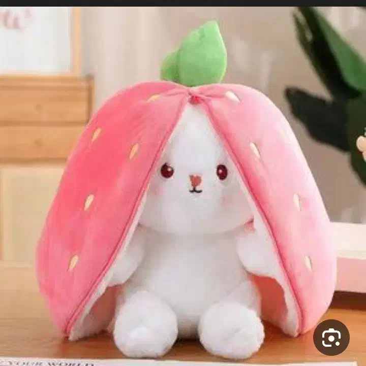 عروس|اسباببازی|بیجار, |دیوار