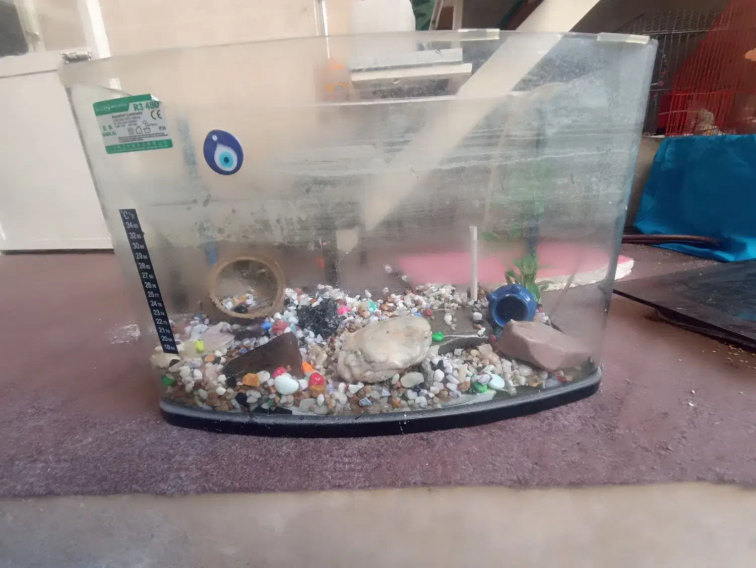 آکواریوم با لوازم و سنگ|ماهی|تبریز, |دیوار