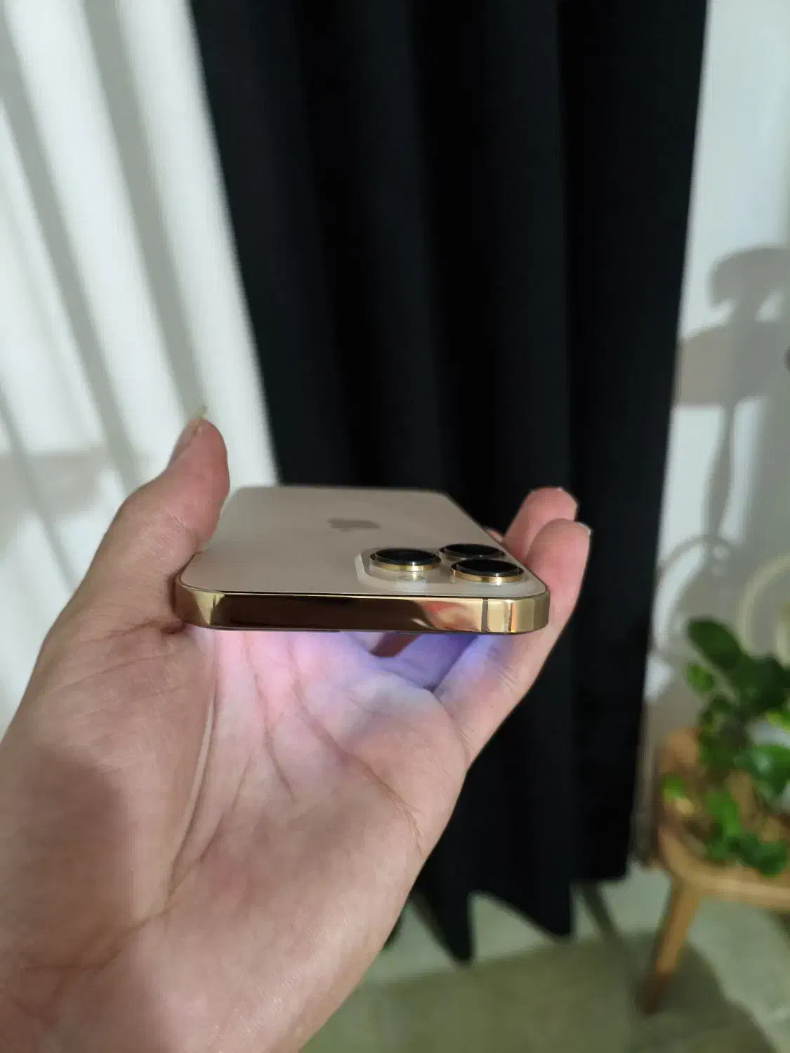 آیفون 13 پرومکس|موبایل|بابلسر, |دیوار