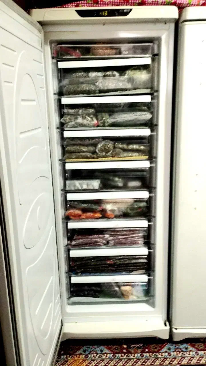 یخجال دوقلوی سوزان|یخچال و فریزر|ترکمانچای, |دیوار