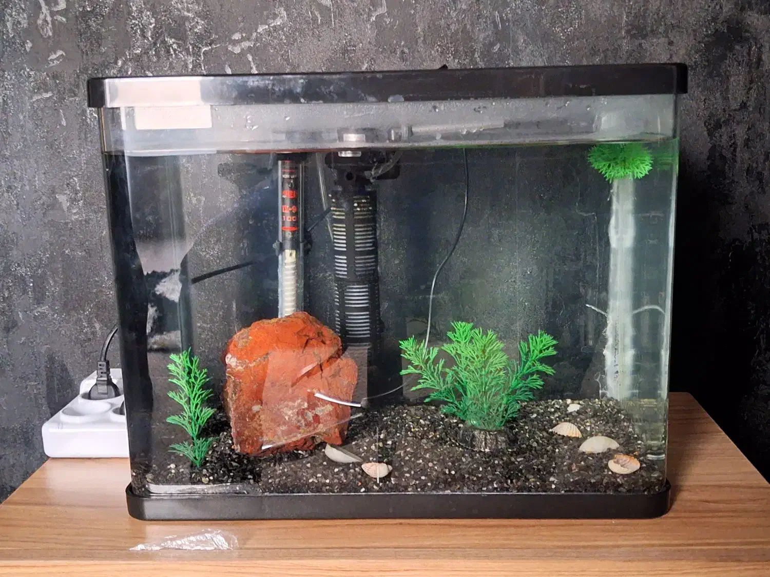 آکواریوم شیشه خم|ماهی|شیراز, گویم|دیوار