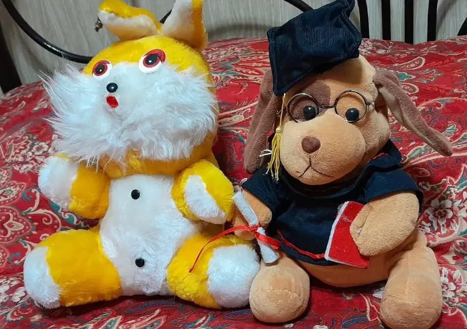 اسباب‌ باز ی|اسباب‌‌بازی|کهریزک, |دیوار