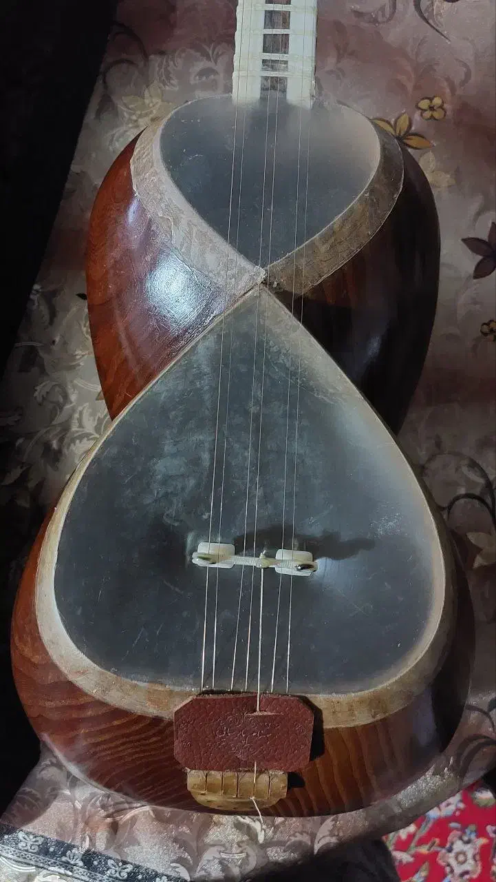 تار رشیدی ملایری|سازهای سنتی|تهران, تهرانپارس شرقی|دیوار