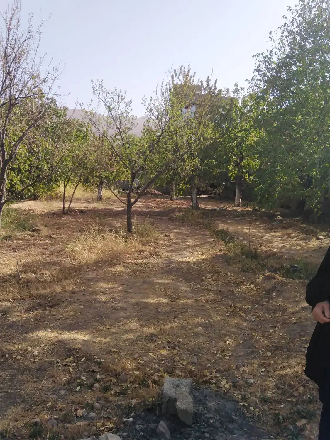 اجاره باغ|اجارهٔ خانه و ویلا|هشتگرد, فشند|دیوار