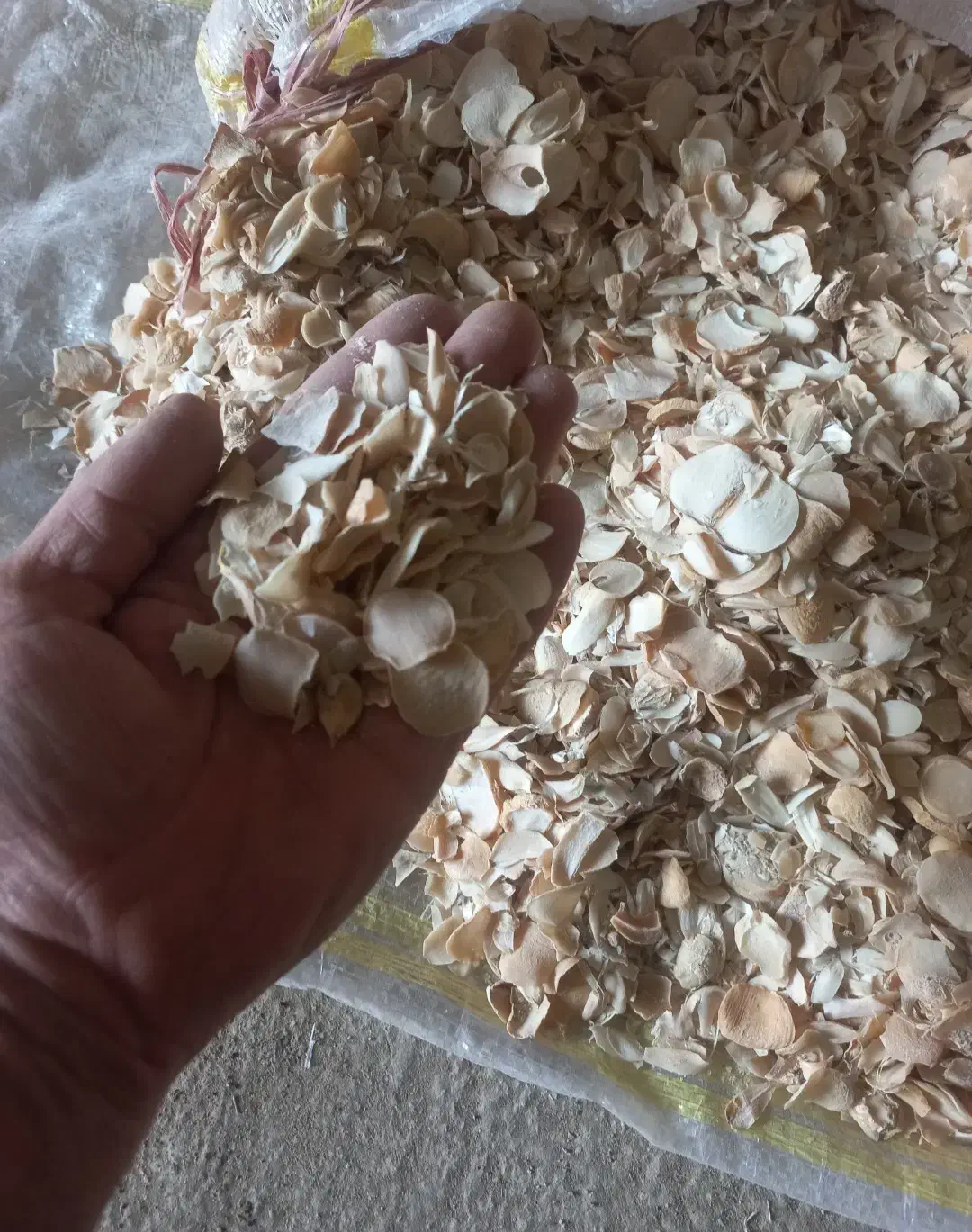 موسیر|خوردنی و آشامیدنی|همدان, |دیوار