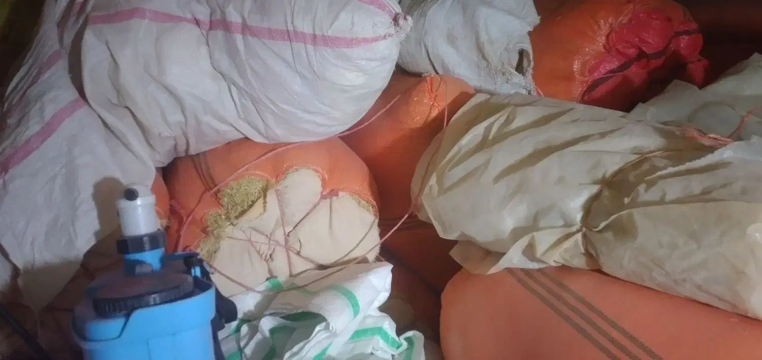 کاه گندم|عمدهفروشی|فیروزآباد (لرستان), |دیوار