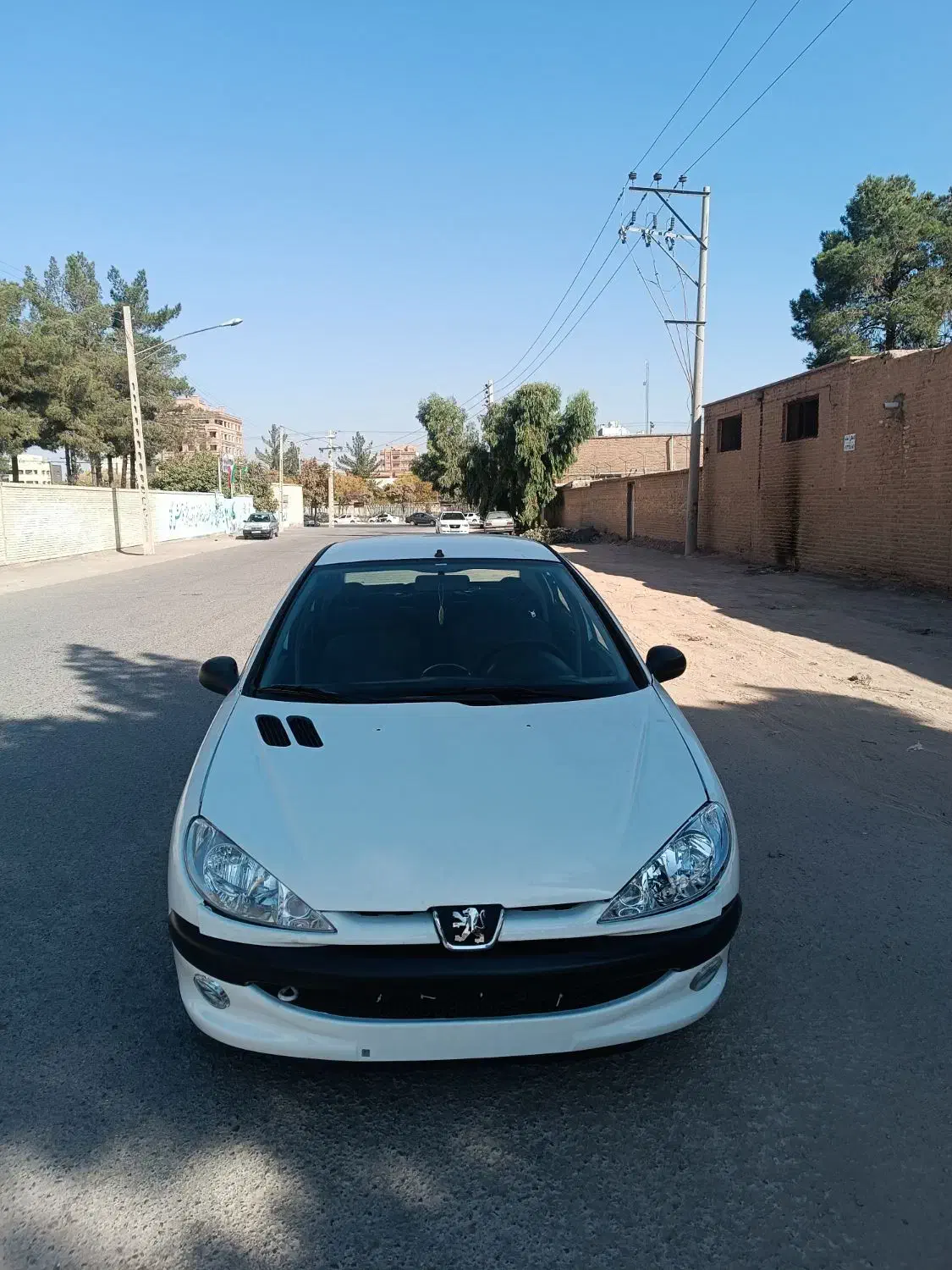 206 sd مدل 93 v8|خودرو سواری و وانت|کرمان, |دیوار