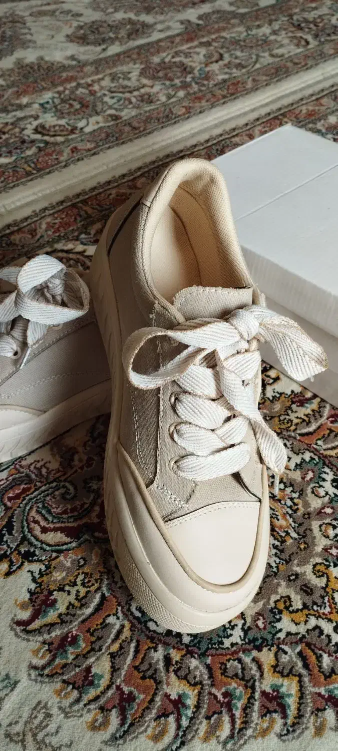 کفش|کیف، کفش، کمربند|قشم, |دیوار