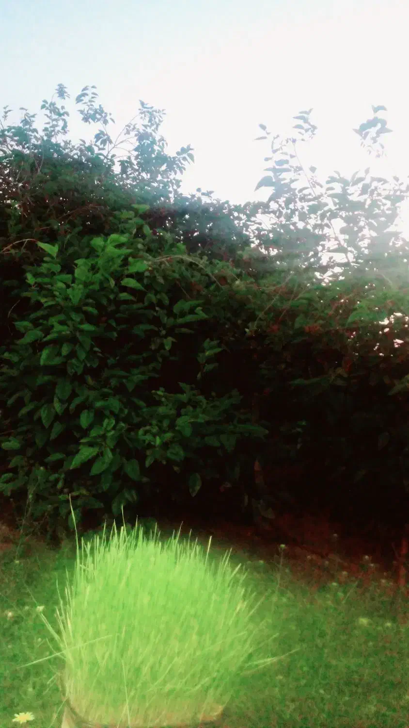 خونه صالح شهر|فروش خانه و ویلا|گتوند, |دیوار