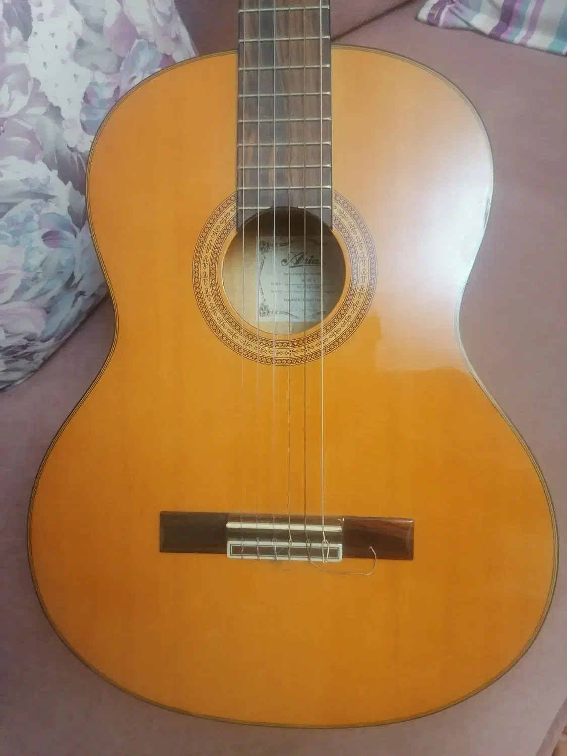 گیتار  آریا ak25n در حد نو|گیتار، بیس، امپلیفایر|صدرا-فارس, فاز ۱|دیوار