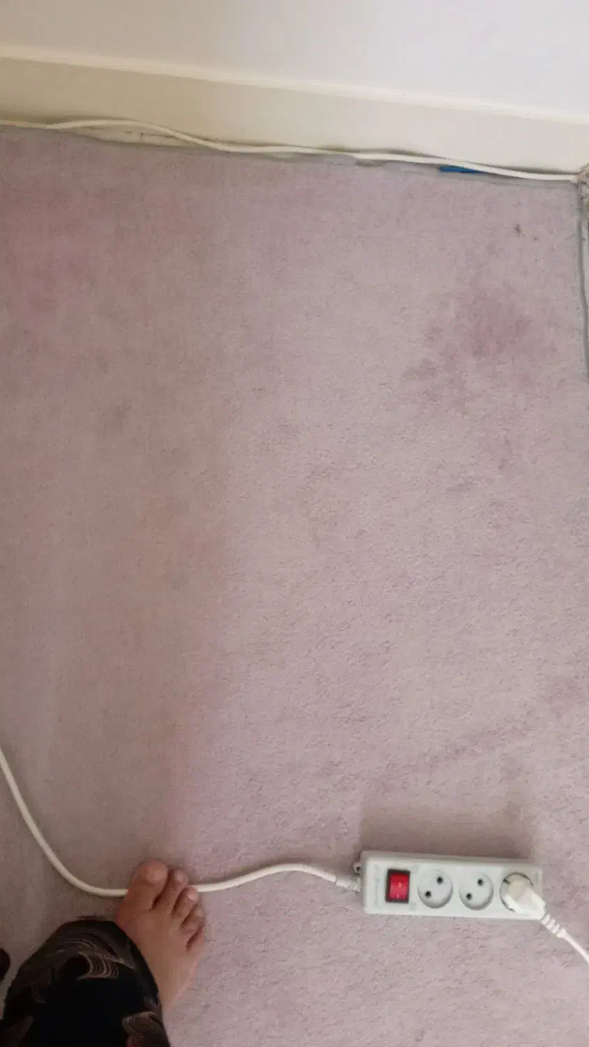 پالاز موکت|موکت|خرم‌آباد, |دیوار