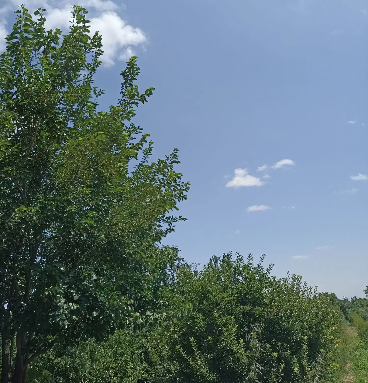 نقد ...|فروش زمین و ملک کلنگی|ارومیه, |دیوار