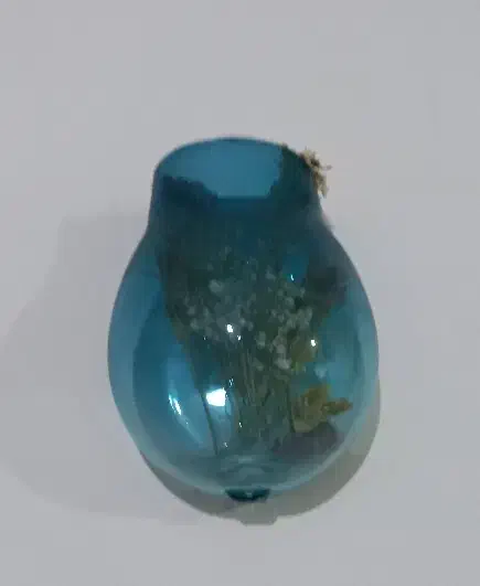 گلدان|گل و گیاه طبیعی|مشهد, رسالت|دیوار