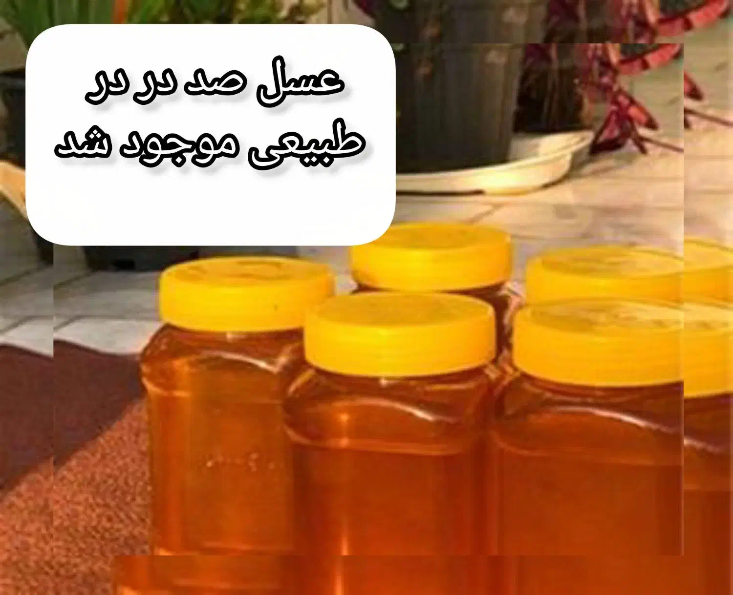 عسل صد در صد طبیعی|خوردنی و آشامیدنی|شاهین دژ, |دیوار