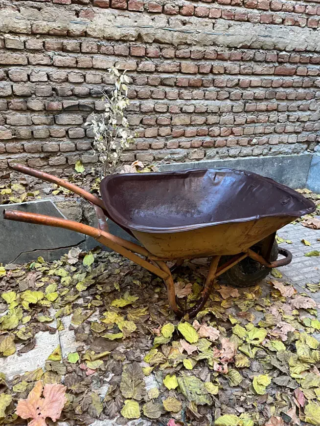 فرغون|مصالح و تجهیزات ساختمان|تبریز, |دیوار