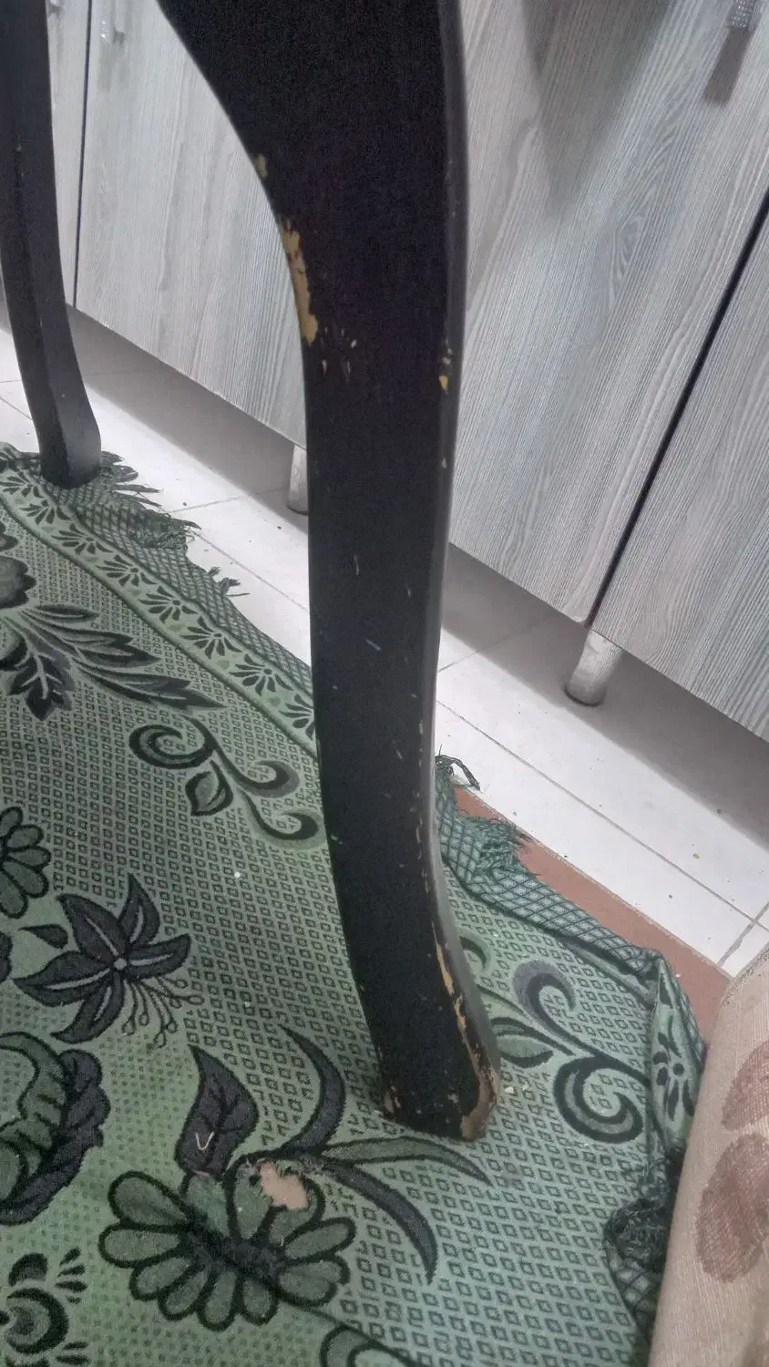 میز و صندلی ناهارخوری|میز و صندلی غذاخوری|صفادشت, |دیوار