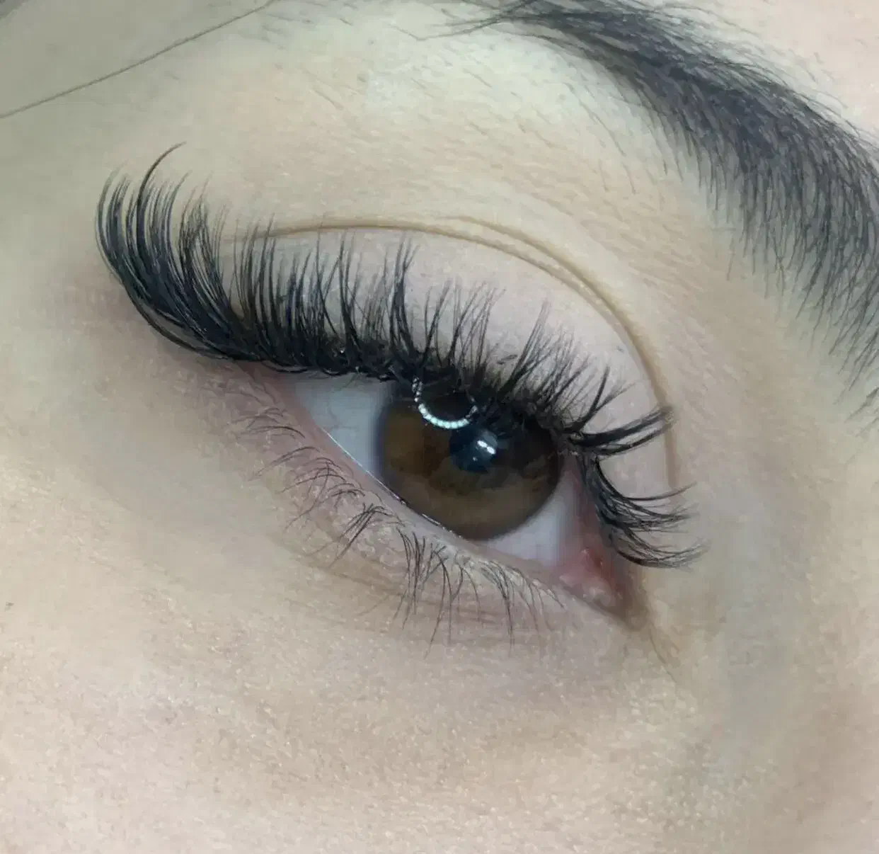 خدمات اکستنشن مژه|خدمات آرایشگری و زیبایی|نمین, |دیوار