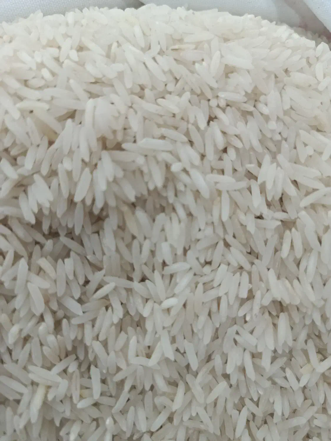 طارم محلی|خوردنی و آشامیدنی|دامغان, |دیوار