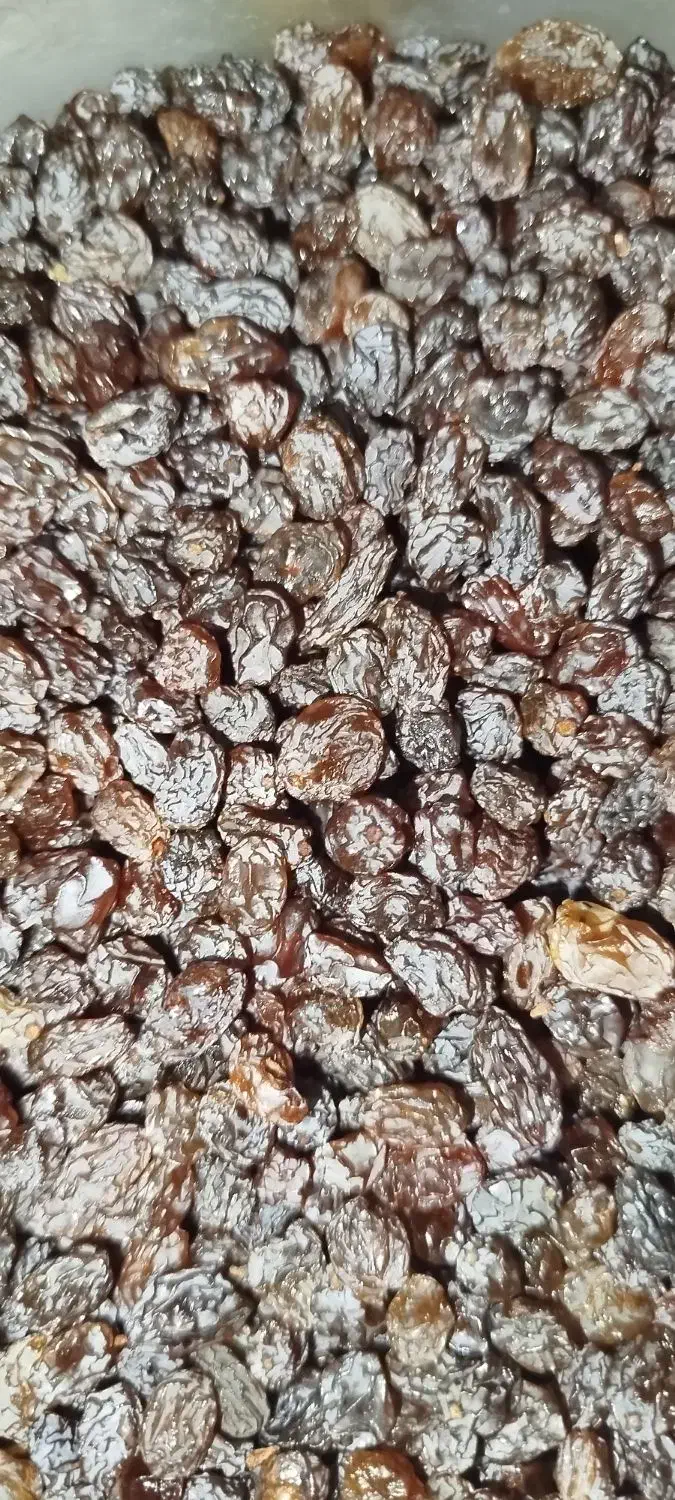 کشمش  ملکان|خوردنی و آشامیدنی|اسکو, |دیوار