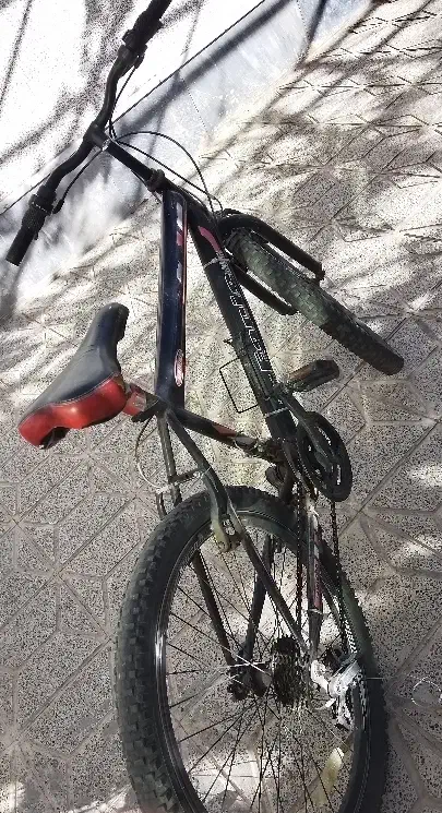 دوچرخه|دوچرخه، اسکیت، اسکوتر|بیرجند, |دیوار