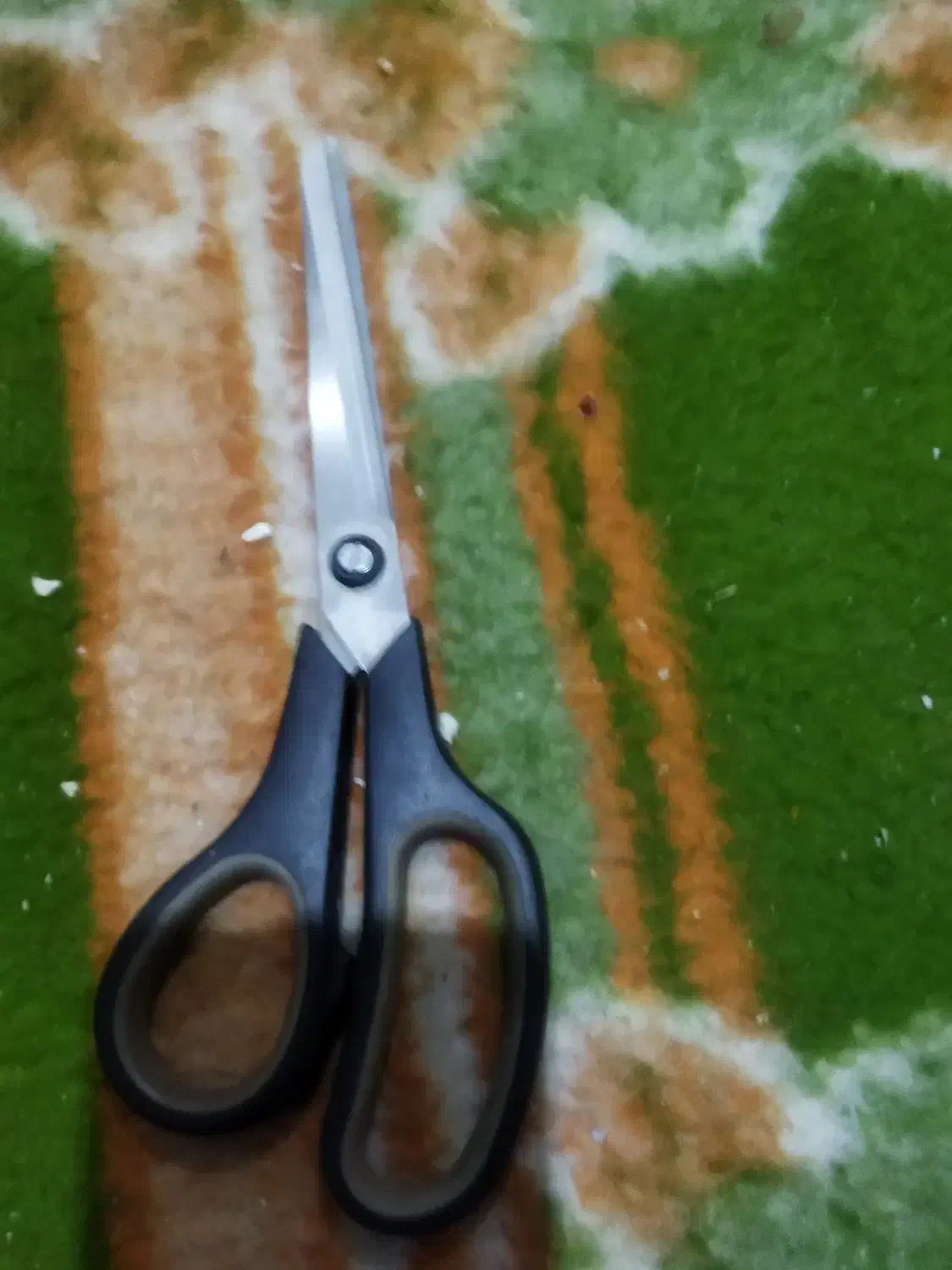 فروش قیچی|لوازم خیاطی و بافتنی|شیراز, گلکوب|دیوار