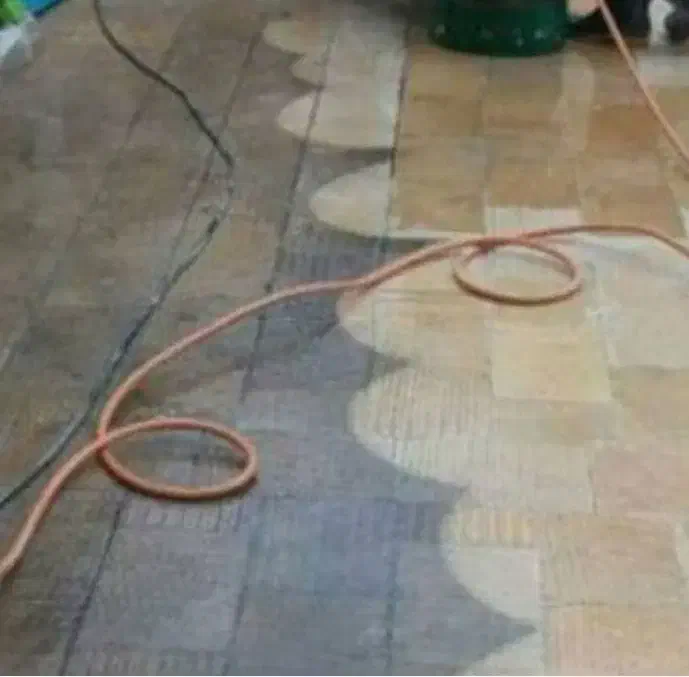 کفسابی سنگسابی کف سابی کفشویی سنگ سابی سابزن|خدمات نظافت|تبریز, |دیوار