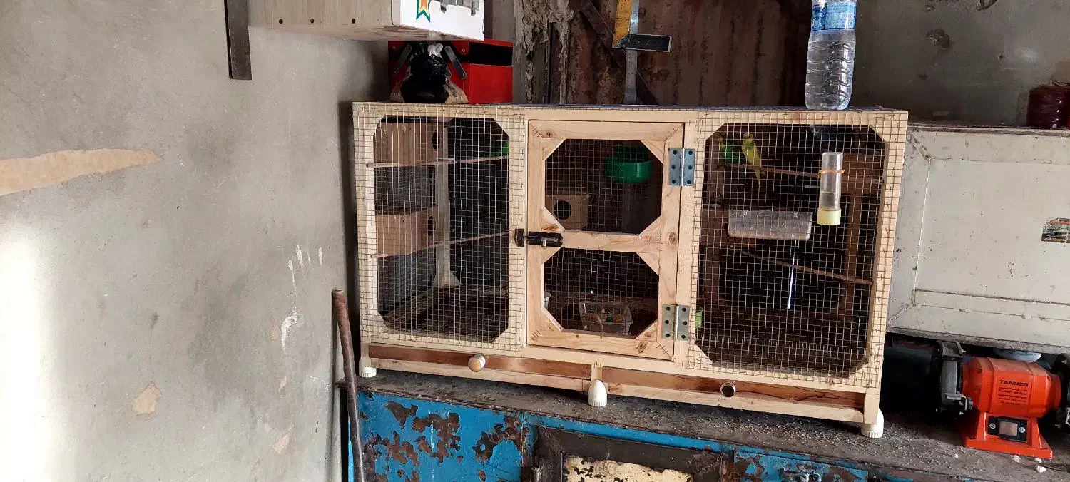 قفس شیک|لوازم جانبی حیوانات|ایذه, |دیوار