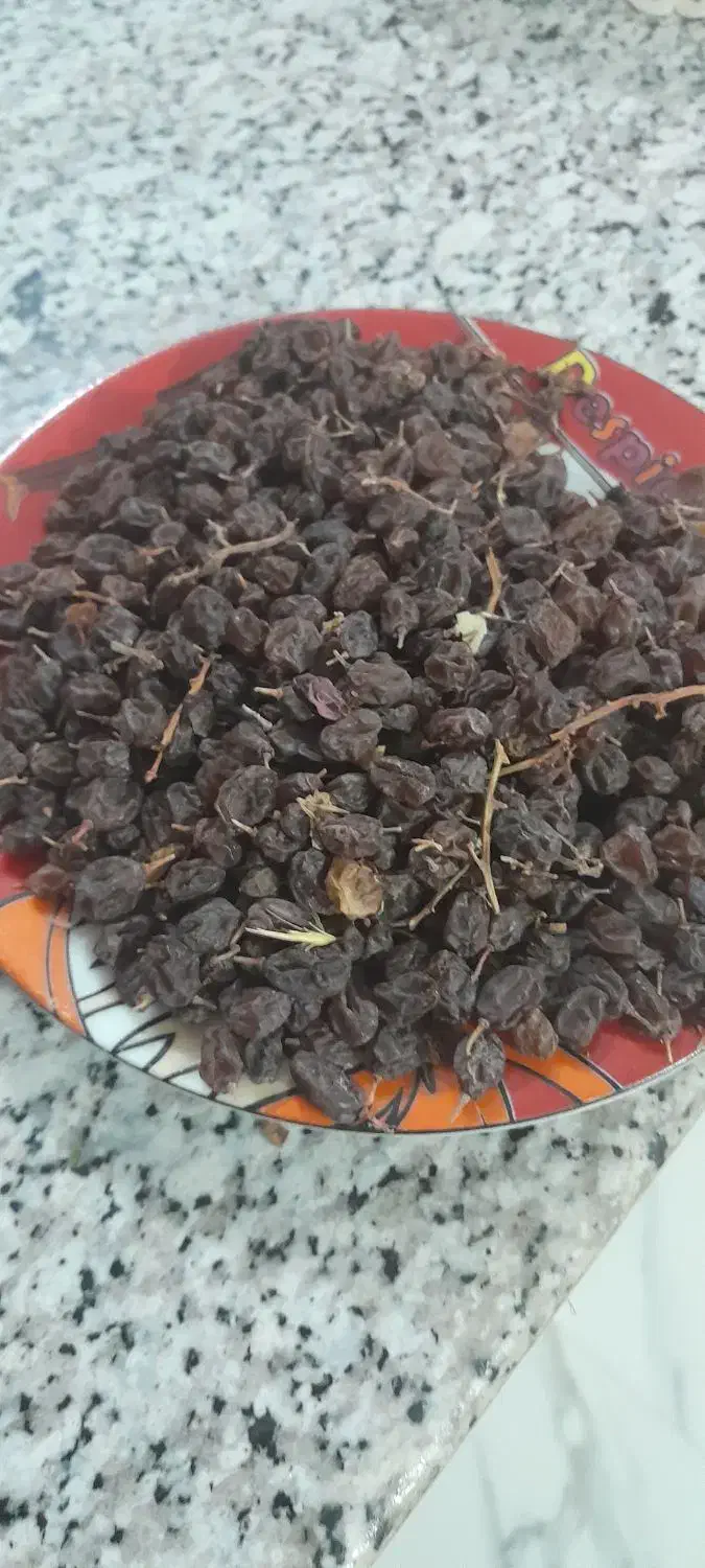 گردو وکشمش|حراج|امام, |دیوار