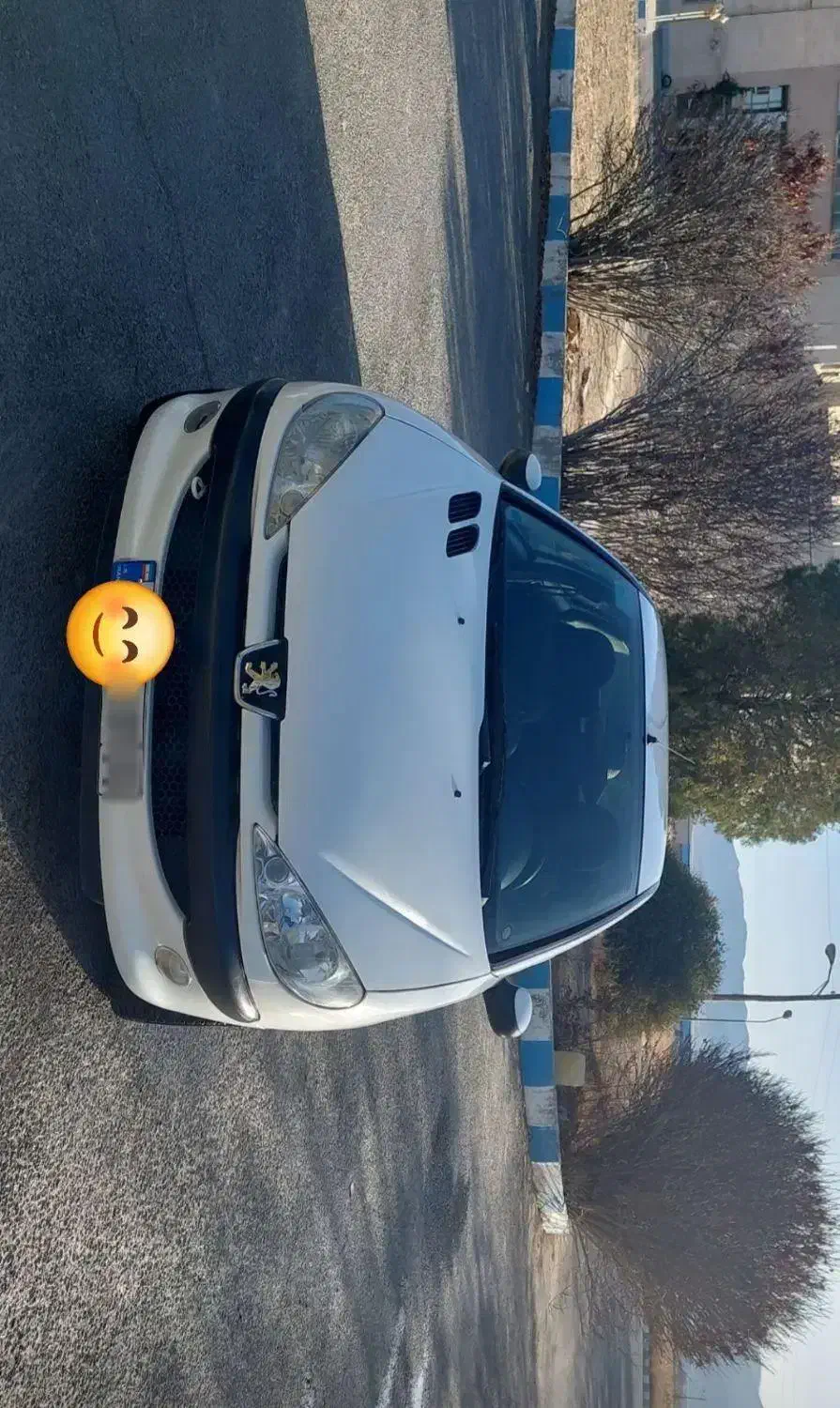 206 sdv8|خودرو سواری و وانت|اراک, |دیوار