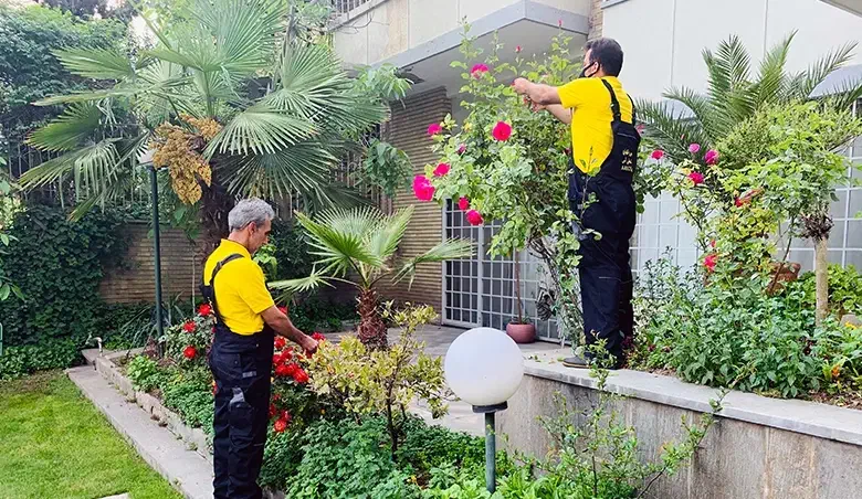 کاشت باغ باغچه چهار فصل گلدار و میوه دار و سبز|خدمات باغبانی و درختکاری|لنجان, |دیوار