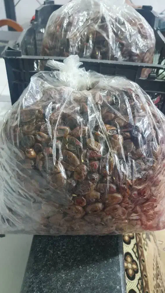 خرمای بدون هسته و مویز|خوردنی و آشامیدنی|شیراز, ریشمک|دیوار