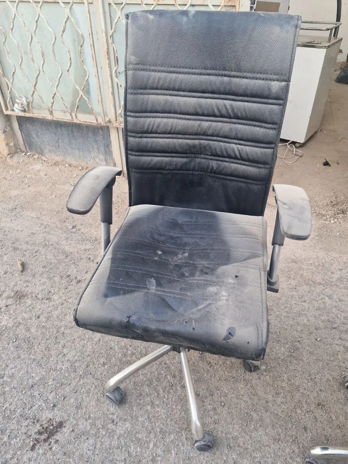 صندلی چرخ دار|دفتر کار|یزد, |دیوار