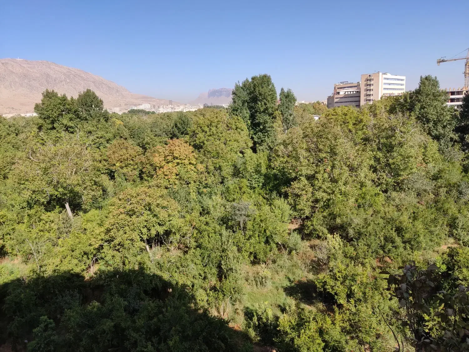 ویو باغ تک واحدی ۱۶۵ و۲۰۰ متر/ قصردشت|فروش آپارتمان|شیراز, میرزاکوچک خان|دیوار