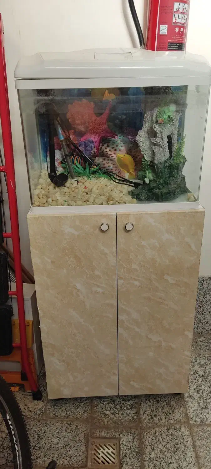 آکواریوم نو با کمد|ماهی|مبارکه, |دیوار