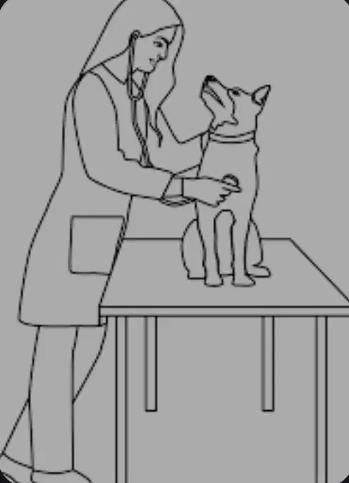 دامپزشک درمحل کاملا اقتصادی|خدمات پیشه و مهارت|تهران, سردارجنگل|دیوار