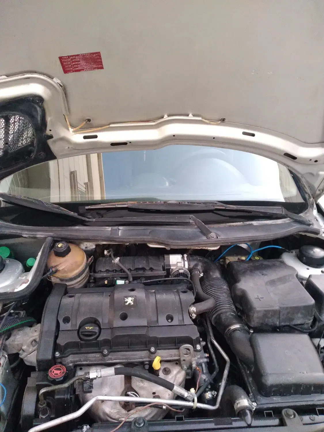 ۲۰۶ تیپ ۵ کم کار خونگی|خودرو سواری و وانت|گنبد کاووس, |دیوار