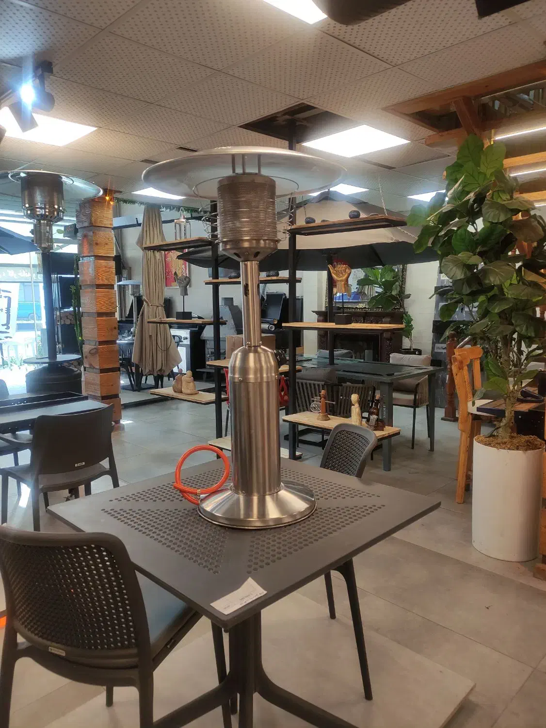 قارچی رومیزی|کافیشاپ و رستوران|بندر انزلی, امامزاده|دیوار