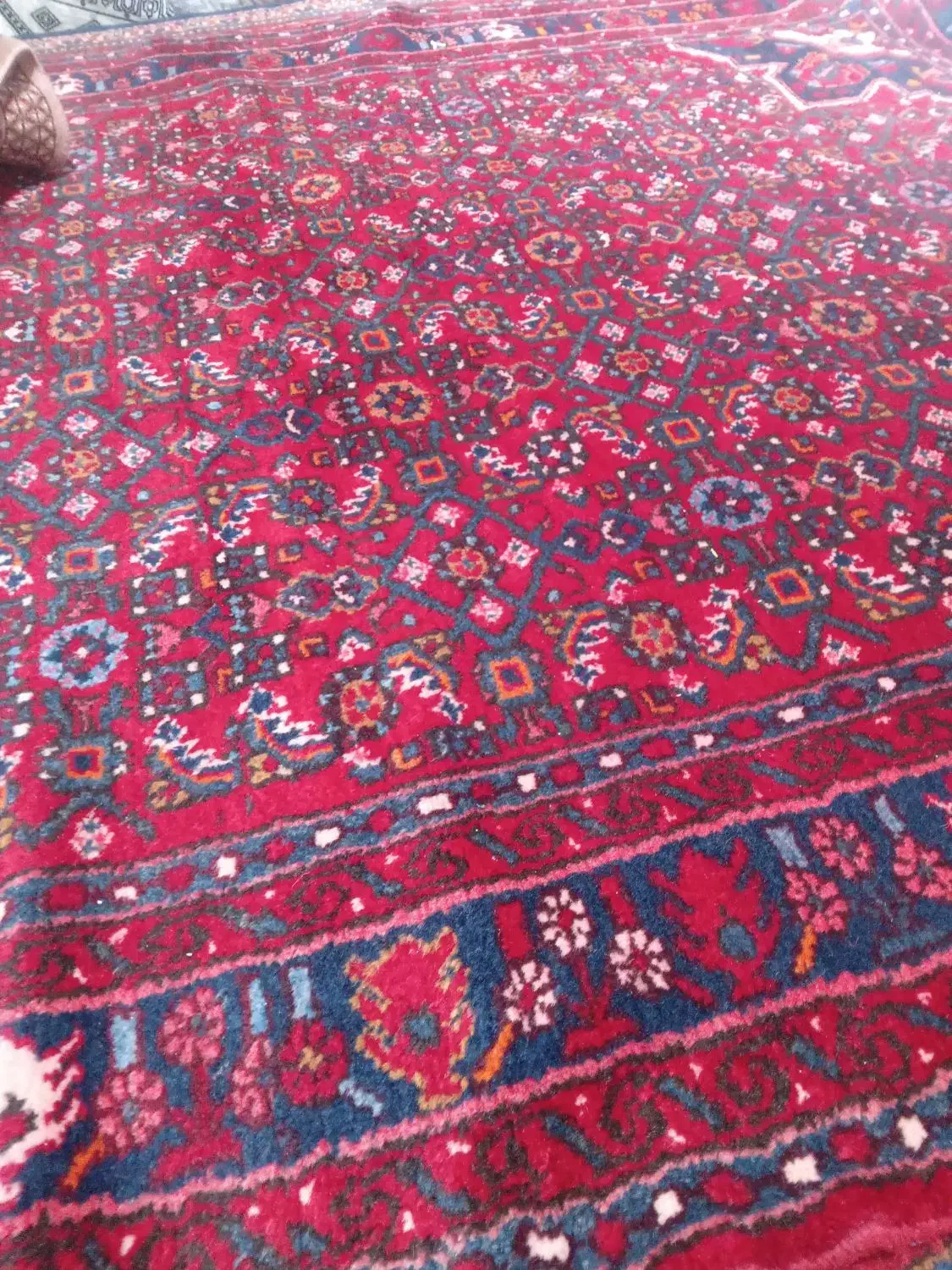 یک تخته فرش ۴/۵متری دستباف سالم تمیز گوشت دار|فرش|تهران, سهروردی|دیوار