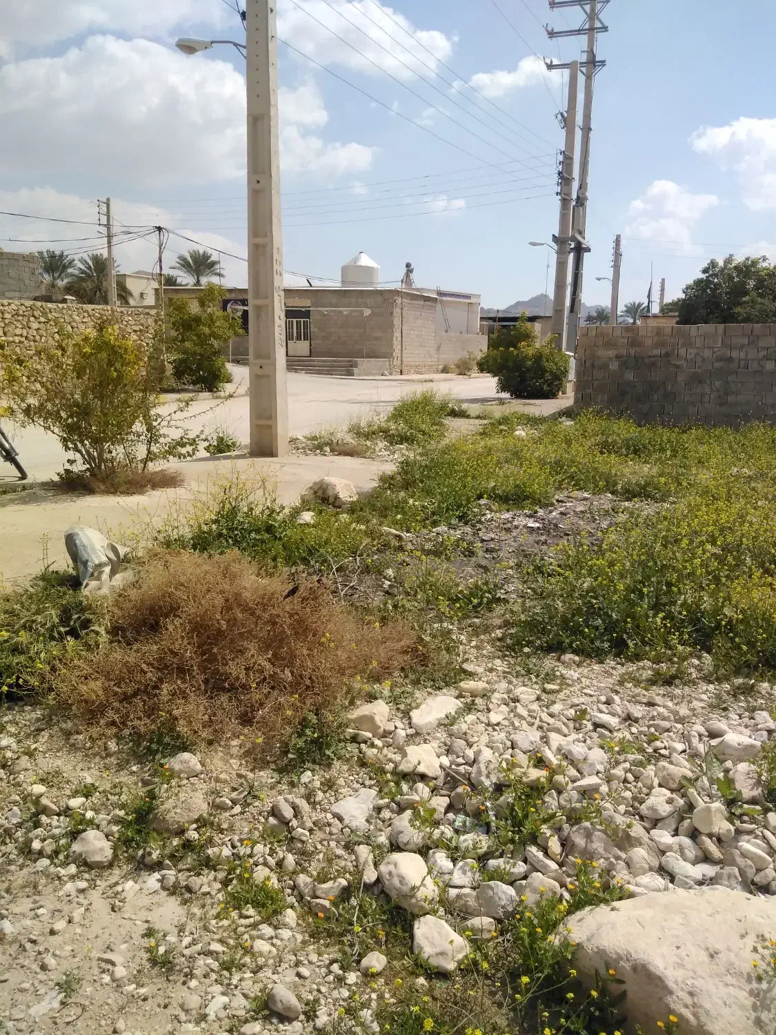 زمین مسکونی|فروش زمین و ملک کلنگی|بوشکان, |دیوار