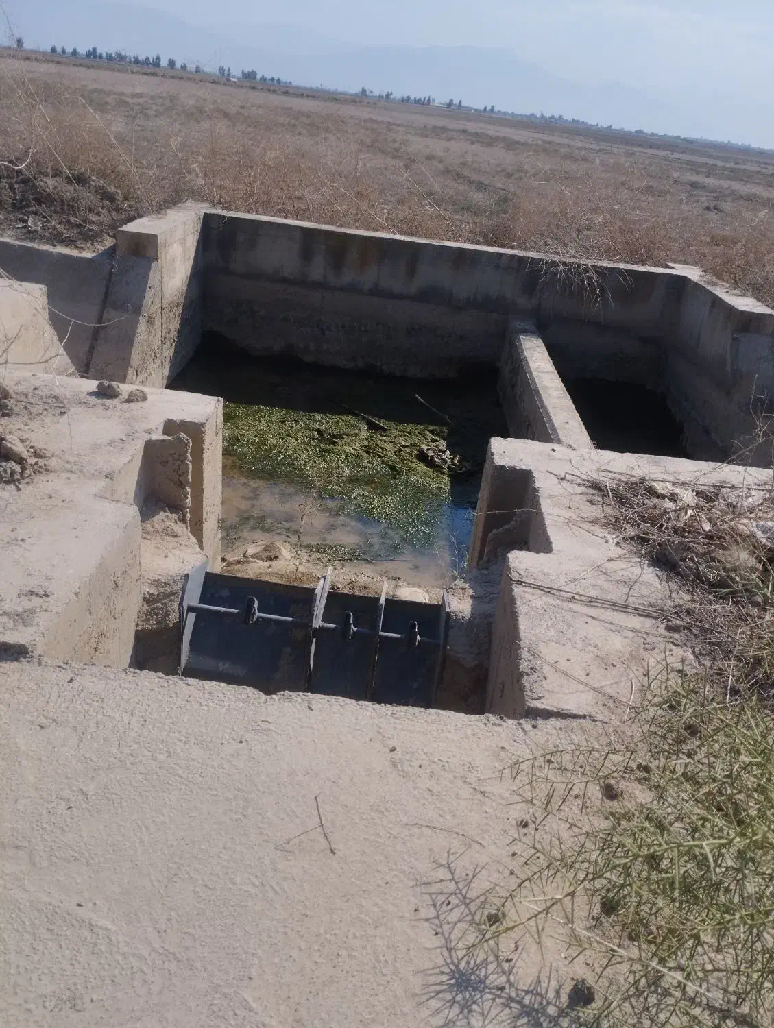 زمین|اجارهٔ دفتر صنعتی، کشاورزی، تجاری|گنبد کاووس, |دیوار