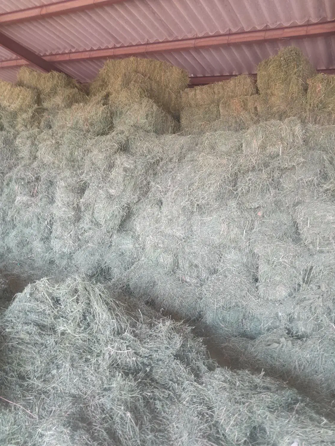 یونجه درجه یک بیستون|لوازم جانبی حیوانات|بیستون, |دیوار