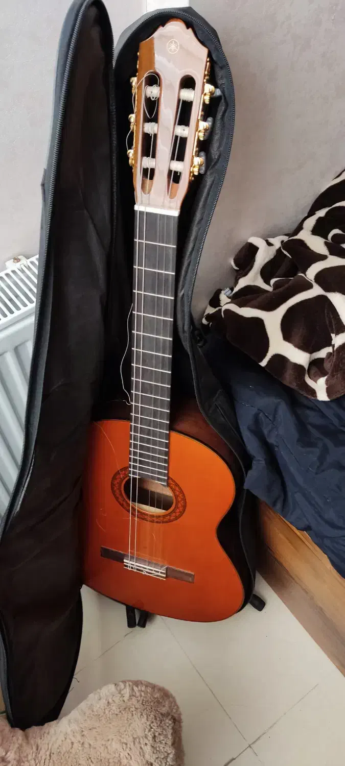 گیتار یاهاما C70|گیتار، بیس، امپلیفایر|صدرا-فارس, فاز ۱|دیوار