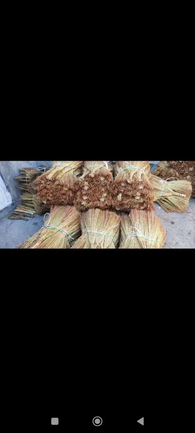 جارو|جاروبرقی، جارو شارژی، بخارشو|میانه, |دیوار