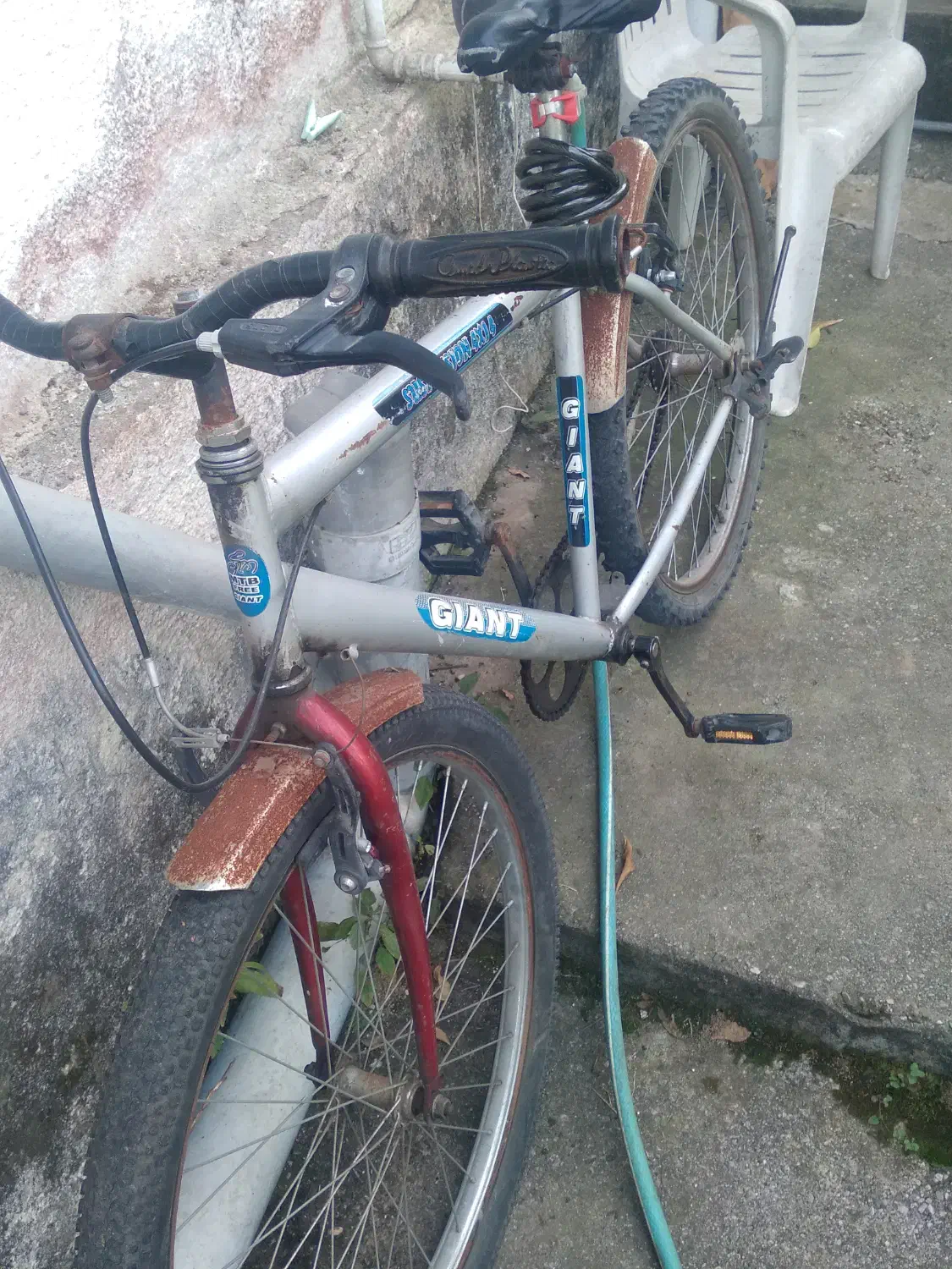 دوچرخه ۲۶|دوچرخه، اسکیت، اسکوتر|رامسر, |دیوار