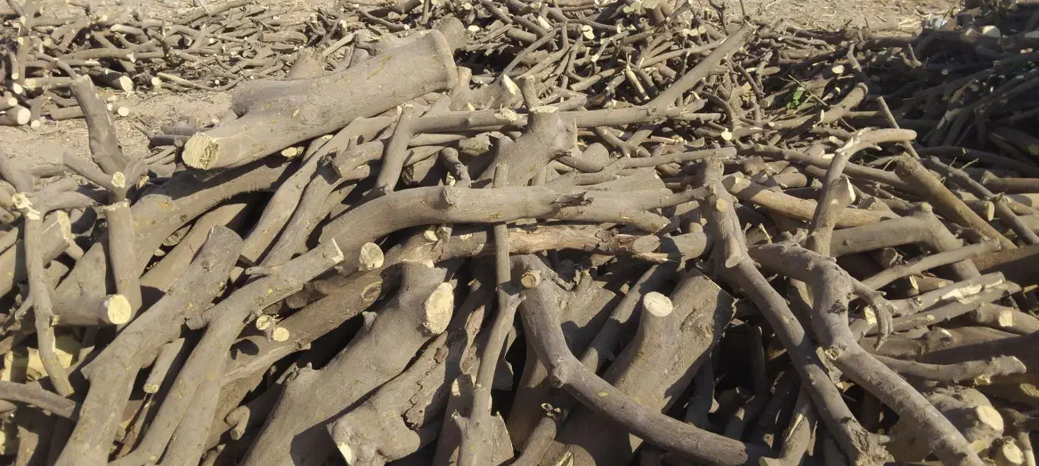 چوب|خدمات باغبانی و درختکاری|جیرفت, |دیوار