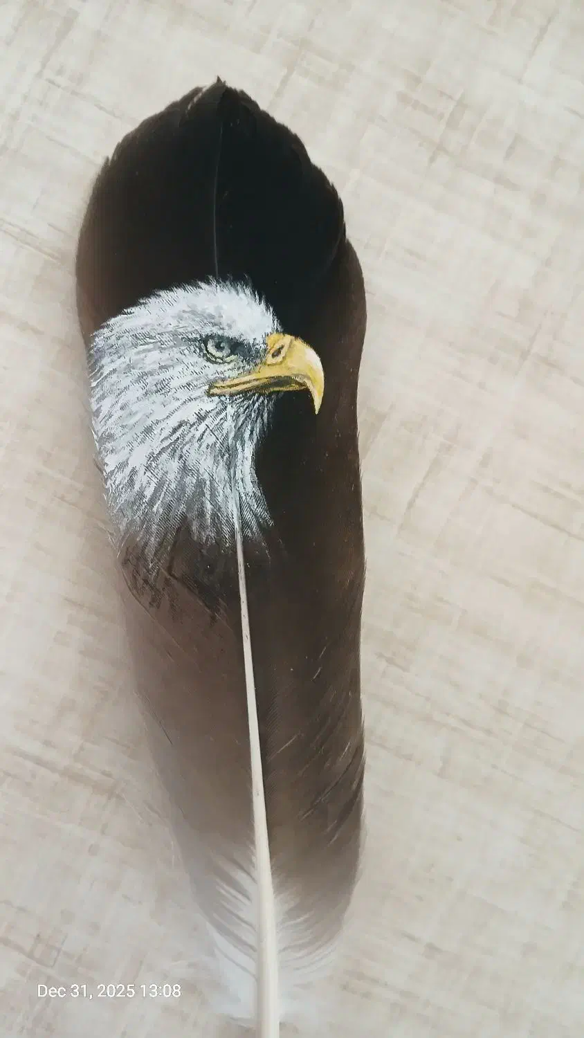 نقاشی روی پر|تابلو، نقاشی، عکس|تهران, حکیمیه|دیوار