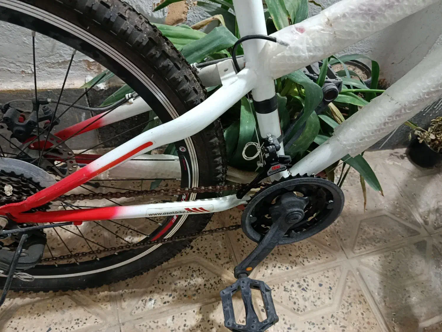 دوچرخه 26 آساک دوچرخ|دوچرخه، اسکیت، اسکوتر|مشهد, وکیلآباد|دیوار